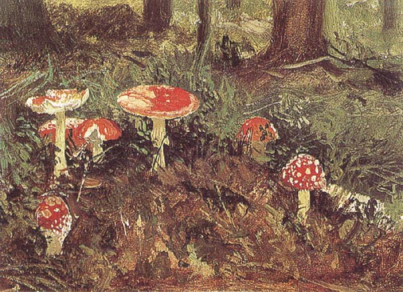 Fly-Agarics,Study, Ivan Shishkin